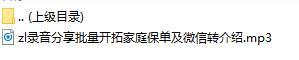 录音分享批量开拓家庭保单及微信转介绍.rar