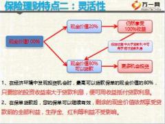 保險(xiǎn)理財(cái)三大特點(diǎn)分析11頁.ppt