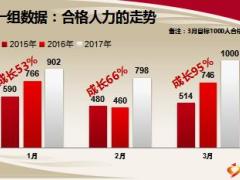 支公司關于合格人力成長推動分享課件27頁.ppt