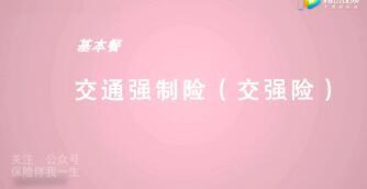 视频车险应该怎么买.rar