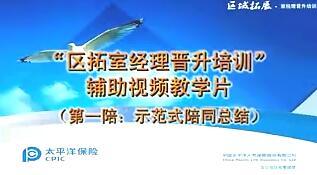 配套视频主管基础训练业务室的有效辅导第一陪示范式陪同总结.rar