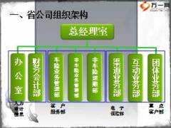 产寿险公司组织架构介绍15页.ppt