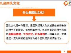 银保衔接培训19团队文化建设27页.ppt