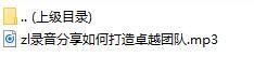 录音分享如何打造卓越团队.rar
