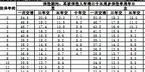 民生附加卓悦英才少儿重大疾病保险条款费率.rar