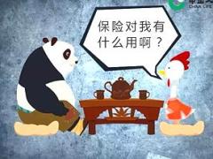 视频保险对我有什么用应对话术卡通版.rar