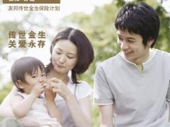 友邦人寿传世金生彩页单页三折页.rar
