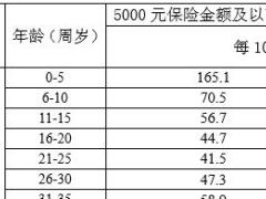 民生附加康乐住院医疗保险费率表条款.rar