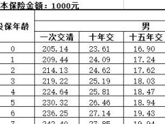 民生如意鑫康终身重大疾病保险产品费率表.xls