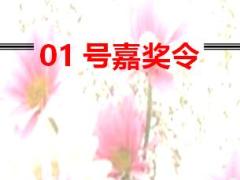 大型組織發(fā)展增員擴軍項目11工具之追控中心處罰令指揮令嘉獎令.rar