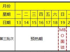 大型組織發(fā)展增員擴軍項目12行事歷規(guī)劃1頁.xls