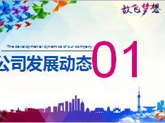 银保渠道2017一季度工作总结市场分析二季度规划44页.ppt