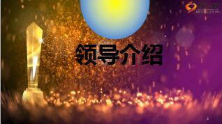 银保网点银行总结表彰会流程31页.ppt