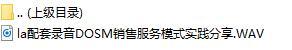 配套录音DOSM销售服务模式实践分享.rar