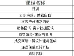 新人育成职场训练V运作手册附件.rar
