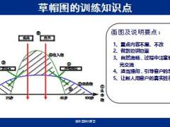 畫圖說(shuō)保險(xiǎn)之草帽圖魚骨圖含備注11頁(yè).ppt