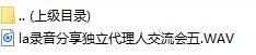 录音分享独立代理人交流会五.rar