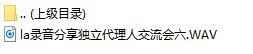 录音分享独立代理人交流会六.rar