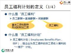 员工福利计划的发展现状市场开拓与设计国寿版65页.rar