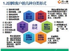 团险新型客户分类与五大拓展方向含备注31页.ppt