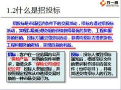 团险项目的招投标及述标含备注74页.ppt