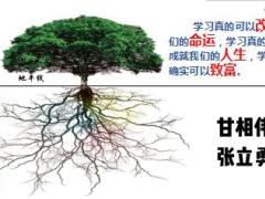 市分公司TOP精英培养计划宣导含备注24页.ppt