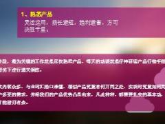 优秀主管分享我的团险成长之路27页.ppt