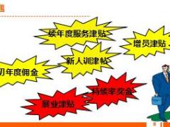 个险新人转正培训2开创辉煌人生含讲师手册29页.rar