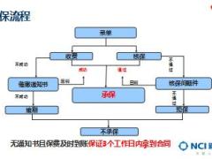 新人岗前培训课程25电子投保书填写新华版含备注34页.ppt