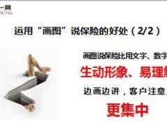 衔训工程传承班第12天画图说保险之保险阶梯图22页.ppt