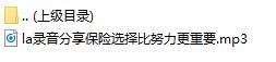 录音分享保险选择比努力更重要.rar