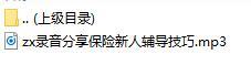 录音分享保险新人辅导技巧.rar