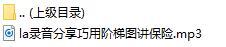 录音分享巧用阶梯图讲保险.rar