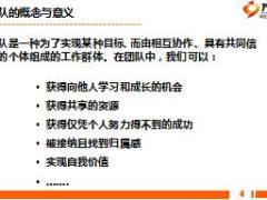 2017个险营业部经理晋升培训课程8构建寿险营销团队含工具60页.rar