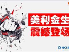 新人衔接训练课程10年金险销售训练新华美利金生含备注36页.ppt