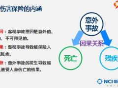 新人衔接训练课程12新华附加险介绍含备注29页.ppt
