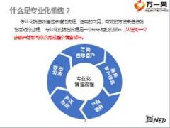 保险中介机构销售培训之销售基本流程概述含视频备注46页.rar