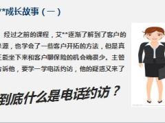 新人衔接训练课程16电话约访训练及通关含备注31页.ppt