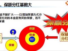 保險銷售講保額分紅技巧訓(xùn)練22頁.ppt