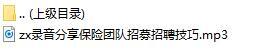 录音分享保险团队招募招聘技巧.rar
