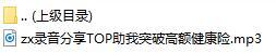 录音分享TOP助我突破高额健康险.rar