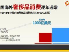 营销员晋升培训班3Hold住大众客户55页.ppt