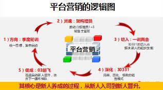 再談保險從業(yè)平臺營銷15頁.ppt