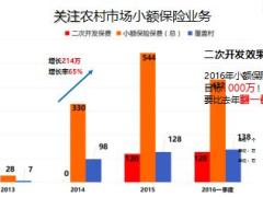 小額保險在農(nóng)村市場的二次開發(fā)含備注33頁.ppt