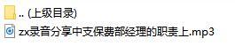 录音分享中支保费部经理的职责上.rar