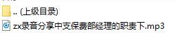 录音分享中支保费部经理的职责下.rar