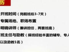视频太平新人育成π系统操作介绍.rar
