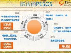 新人辅导展业陪访技巧25页.ppt
