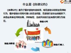 个人代理保险业务自律公约及评价系统宣导29页.ppt