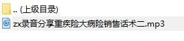 录音分享重疾险大病险销售话术二.rar